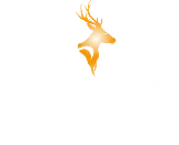 DALA